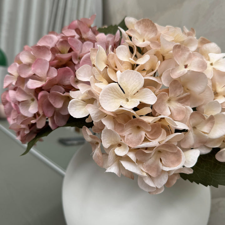 Hydrangea Dusty Pink