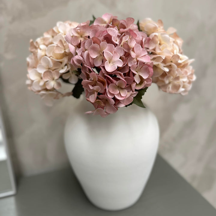 Hydrangea Dusty Pink