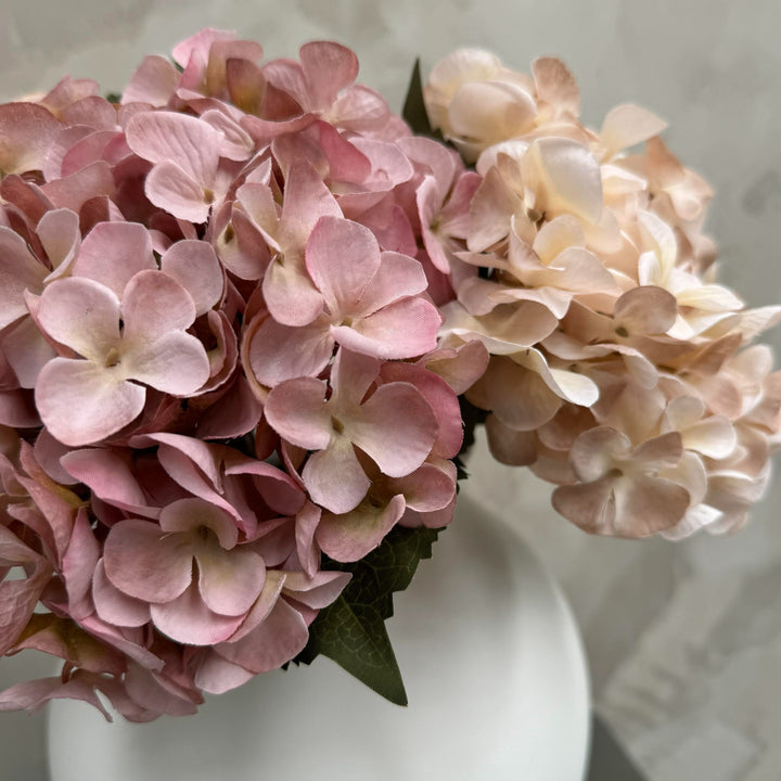 Hydrangea Dusty Pink