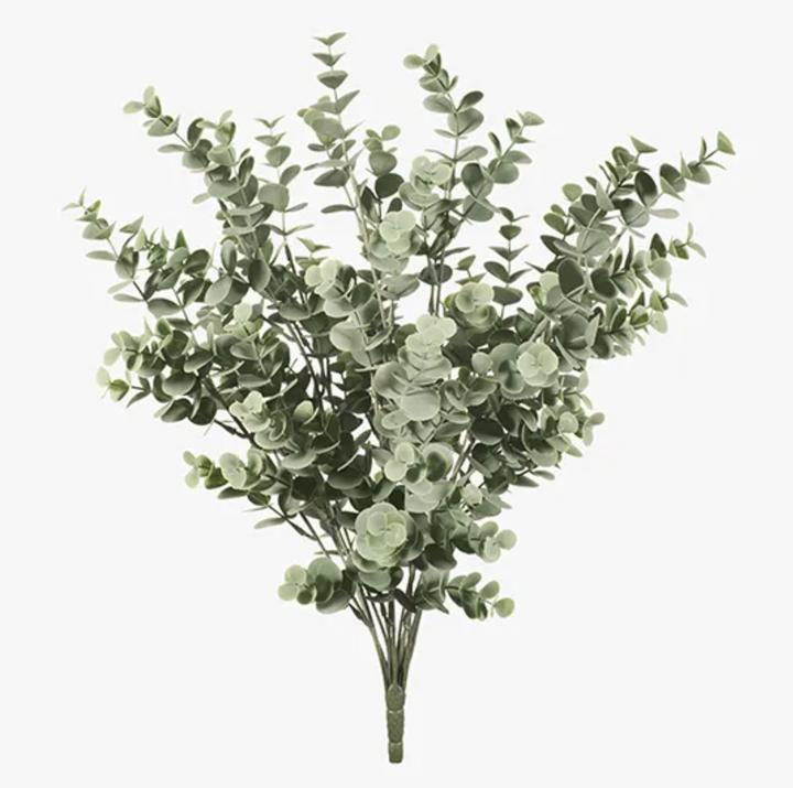 Eucalyptus Bush