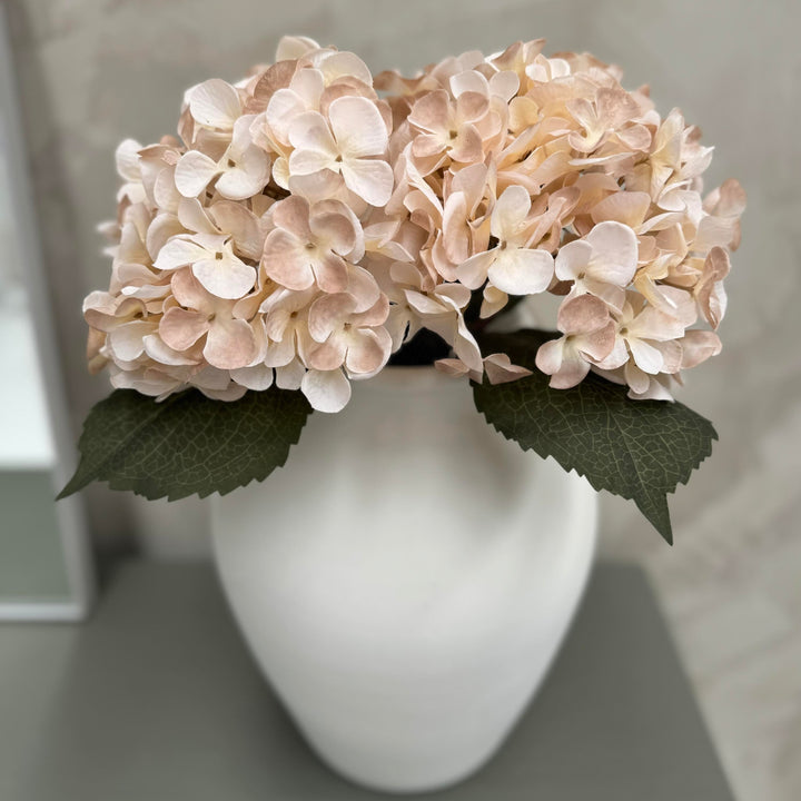 Hydrangea Cream Mauve