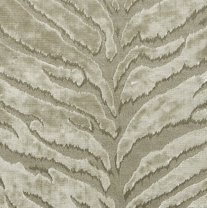 Bengal Tiger