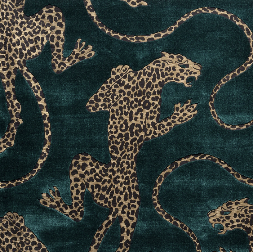 Panthera