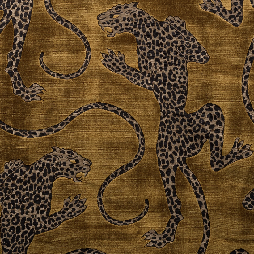 Panthera