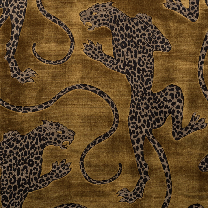 Panthera