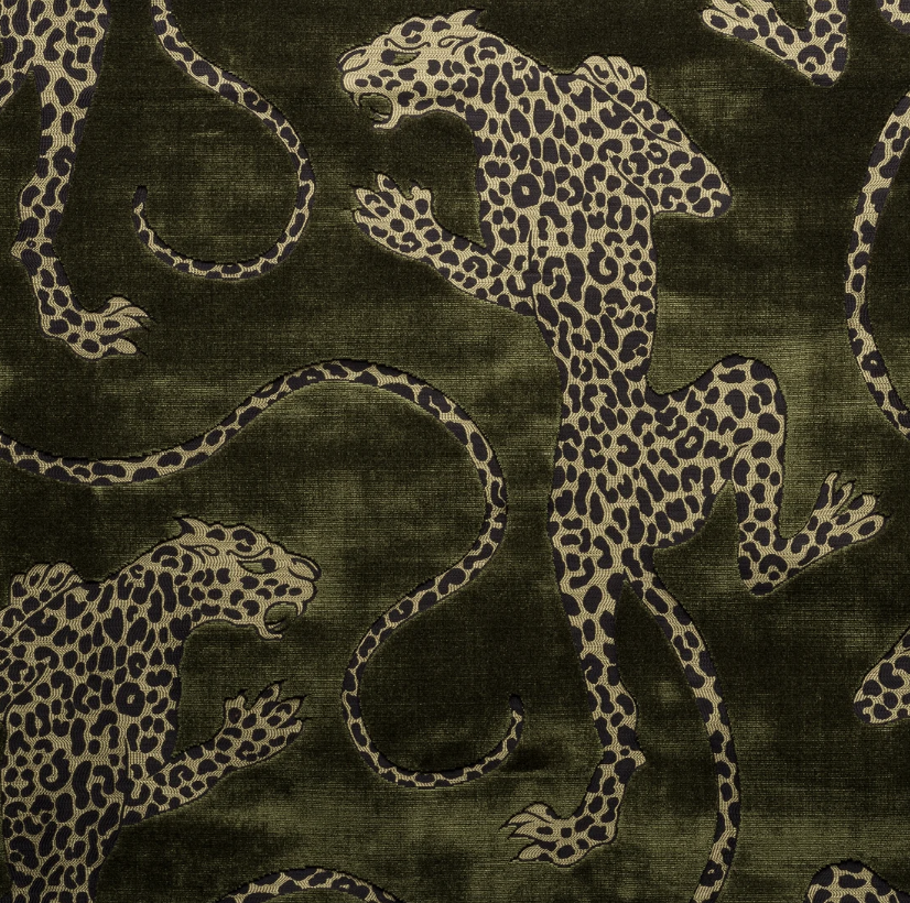 Panthera
