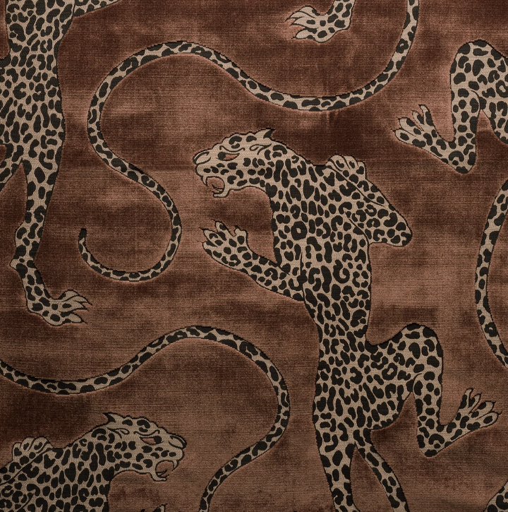 Panthera